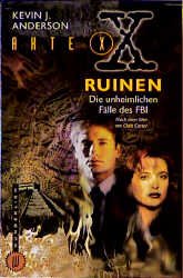 ISBN 9783499262043: Ruinen