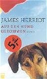 ISBN 9783499265778: Auf den Hund gekommen