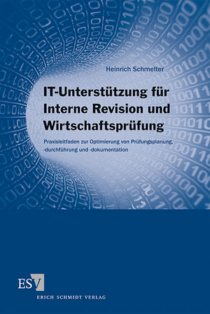 ISBN 9783503120529: IT-Unterstützung für Interne Revision und Wirtschaftsprüfung - Praxisleitfaden zur Optimierung von Prüfungsplanung, -durchführung und -dokumentation