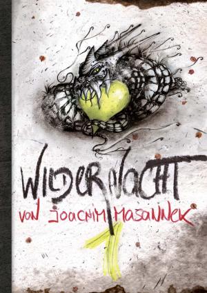 gebrauchtes Buch – Joachim Masannek – WilderNacht Kladde 01 (Die verlorenen Tagebücher des Michael Klondeik)