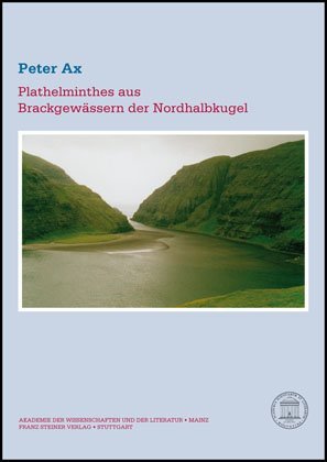 ISBN 9783515091817: Plathelminthes aus Brackgewässern der Nordhalbkugel