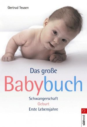 ISBN 9783517067780: Das große Babybuch