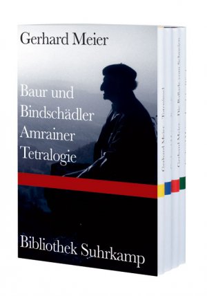 ISBN 9783518068823: Baur und Bindschädler. Amrainer Tetralogie (4 BÄNDE im SCHUBER). Toteninsel / Borodino / Die Ballade vom Schneien / Land der Winde (Mit Nachworten von Peter Handke, Michel Mettler, Peter Weber und Werner Morlang)