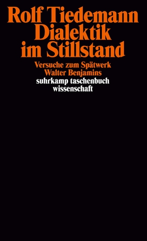 gebrauchtes Buch – Rolf Tiedemann – Dialektik im Stillstand - Versuche zum Spätwerk Walter Benjamins   -   Neu