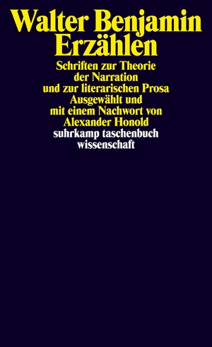 ISBN 9783518294413: Erzählen – Schriften zur Theorie der Narration und zur literarischen Prosa