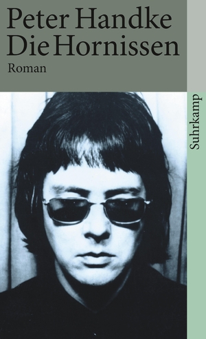 ISBN 9783518369166: Die Hornissen – Roman