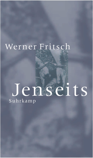 ISBN 9783518411216: Jenseits