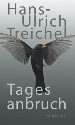 ISBN 9783518425251: Tagesanbruch