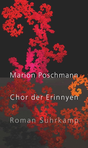 ISBN 9783518431412: Chor der Erinnyen - Roman | Die Parallelgeschichte zum Bestseller »Die Kieferninseln«