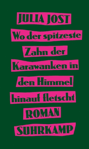 ISBN 9783518431672: Wo der spitzeste Zahn der Karawanken in den Himmel hinauf fletscht - Roman | Eine Coming-of-Age-Geschichte voller Drive und Witz | Nominiert für den Österreichischen Buchpreis 2024