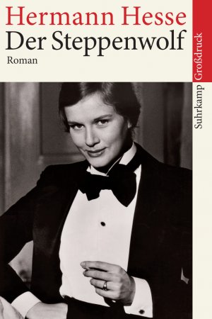 gebrauchtes Buch – Hermann Hesse – Der Steppenwolf - [Roman]