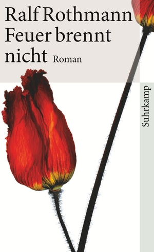 ISBN 9783518461730: Feuer brennt nicht