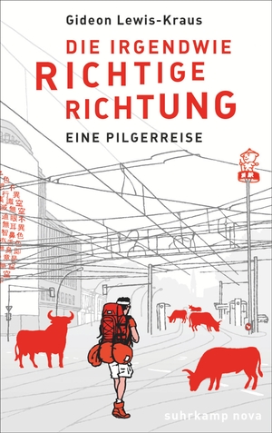 ISBN 9783518464656: Die irgendwie richtige Richtung - Eine Pilgerreise