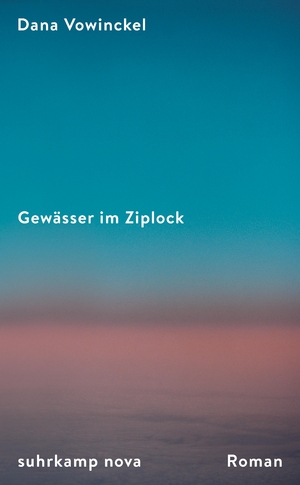 gebrauchtes Buch – Dana Vowinckel – Gewässer im Ziplock: Roman | Ein Sommer zwischen Berlin, Chicago und Jerusalem | Ein mitreißendes Porträt jüdischen Familienlebens heute