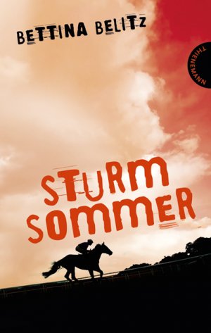 ISBN 9783522200691: Sturmsommer