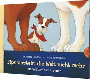 gebrauchtes Buch – Jeanette Randerath – Fips versteht die Welt nicht mehr - wenn Eltern sich trennen