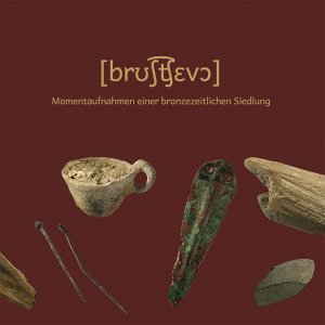 ISBN 9783529017988: Bruszczewo - Momentaufnahmen einer bronzezeitlichen Siedlung