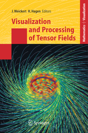 ISBN 9783540250326: Visualization and Processing of Tensor Fields