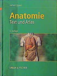 ISBN 9783541072163: Anatomie