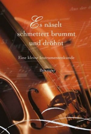 gebrauchtes Buch – Walter, Meinrad  – Es näselt, schmettert, brummt und dröhnt. Eine kleine Instrumentenkunde