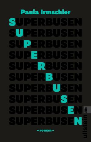 gebrauchtes Buch – Paula Irmschler – Superbusen : Roman