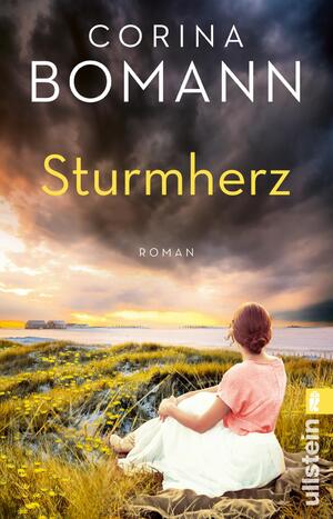 ISBN 9783548067261: Sturmherz - Roman