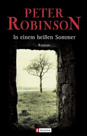 ISBN 9783548255347: In einem heissen Sommer