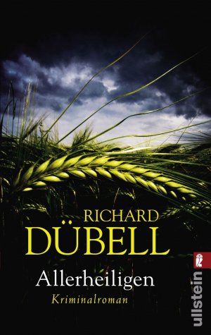 gebrauchtes Buch – Richard Dübell – Allerheiligen