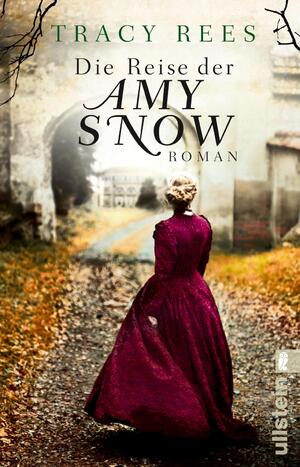 ISBN 9783548289809: Die Reise der Amy Snow