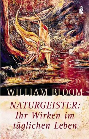 ISBN 9783548742588: Naturgeister