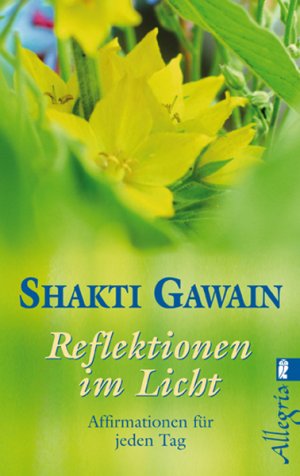 ISBN 9783548743912: Reflektionen im Licht - Affirmationen für jeden Tag