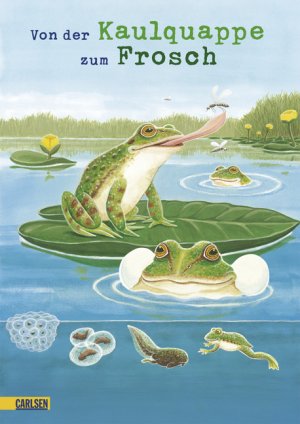 ISBN 9783551250209: Von der Kaulquappe zum Frosch