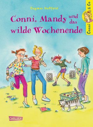 gebrauchtes Buch – Dagmar Hoßfeld – Conni & Co 13: Conni, Mandy und das wilde Wochenende