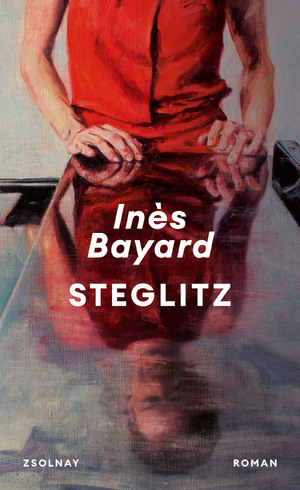 ISBN 9783552073593: Steglitz