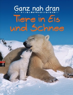 ISBN 9783570136089: Ganz nah dran: Tiere in Eis und Schnee Gebundene Ausgabe – 13. Oktober 2008von Cornelia Panzacchi (Übersetzer)