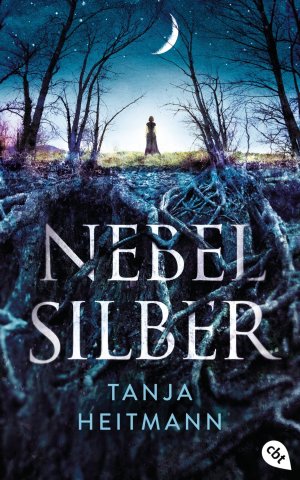 ISBN 9783570161210: Nebelsilber.