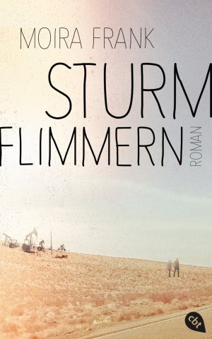 ISBN 9783570164570: Sturmflimmern