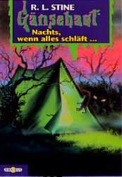 ISBN 9783570202630: Gänsehaut / Nachts, wenn alles schläft – Gänsehaut Band 9