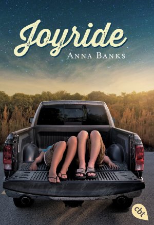 ISBN 9783570310557: Joyride