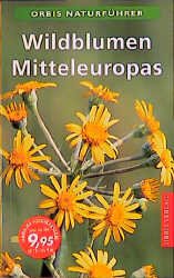 ISBN 9783572010899: Wildblumen Mitteleuropas