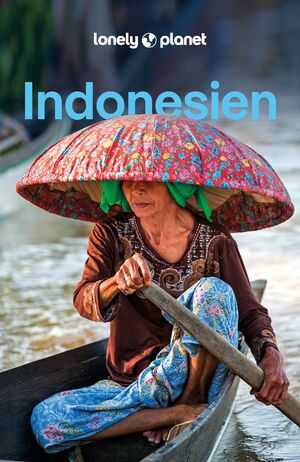 neues Buch – David Eimer Jason Lee Jayne D Arcy Mark Johanson Regis St – LONELY PLANET Reisefuehrer Indonesien