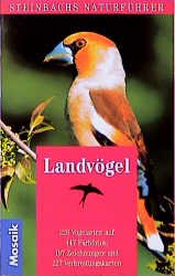 ISBN 9783576105553: Landvögel (Steinbachs Naturführer)