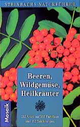 ISBN 9783576106963: Beeren, Wildgemüse, Heilkräuter: 252 Arten (Steinbachs Naturführer)