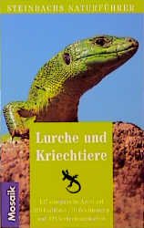 ISBN 9783576106970: Lurche und Kriechtiere - Steinbachs Naturführer Diesener, Günter; Reichholf, Josef H. and Diesener, Ruth