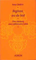 ISBN 9783591083744: Beginne, wo du bist. Eine Anleitung zum mitfühlenden Leben.