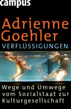 ISBN 9783593378121: Verflüssigungen - Wege und Umwege vom Sozialstaat zur Kulturgesellschaft