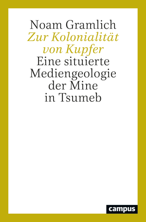 ISBN 9783593518879: Zur Kolonialität von Kupfer – Eine situierte Mediengeologie der Mine in Tsumeb