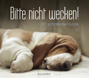 ISBN 9783596034154 "Bitte nicht wecken! - 101 Hunde" – gebraucht, & neu kaufen