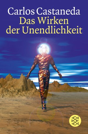 ISBN 9783596147403: Das Wirken der Unendlichkeit