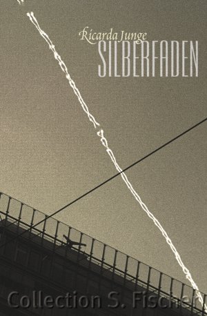 ISBN 9783596154760: Silberfaden